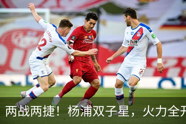 两战两捷！杨浦双子星，火力全开！