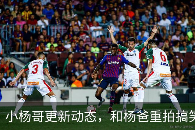 小杨哥更新动态，和杨爸重拍搞笑视频，面相变了眼神无光十分尴尬