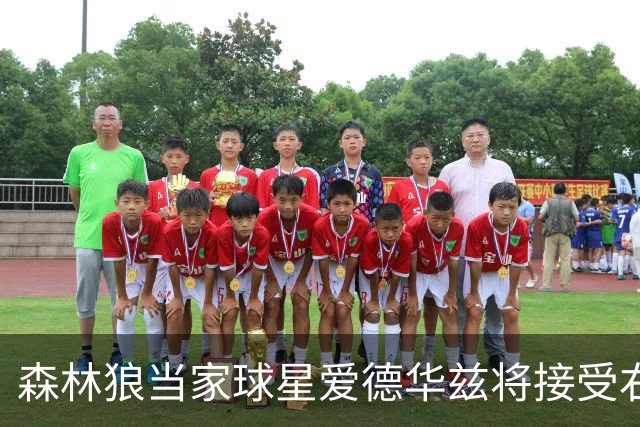 森林狼当家球星爱德华兹将接受右膝关节镜手术，预计伤停两个月，会对他的职业生涯有多大影响？球队阵容会如何调整？