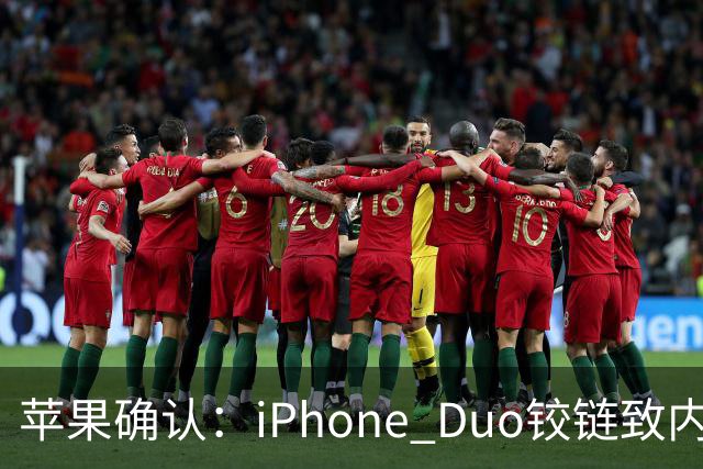 苹果确认：iPhone Duo铰链致内屏开裂