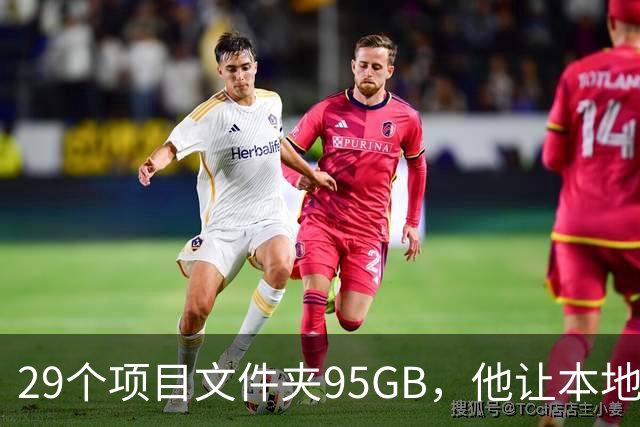 29个项目文件夹95GB，他让本地模型逐个判生死